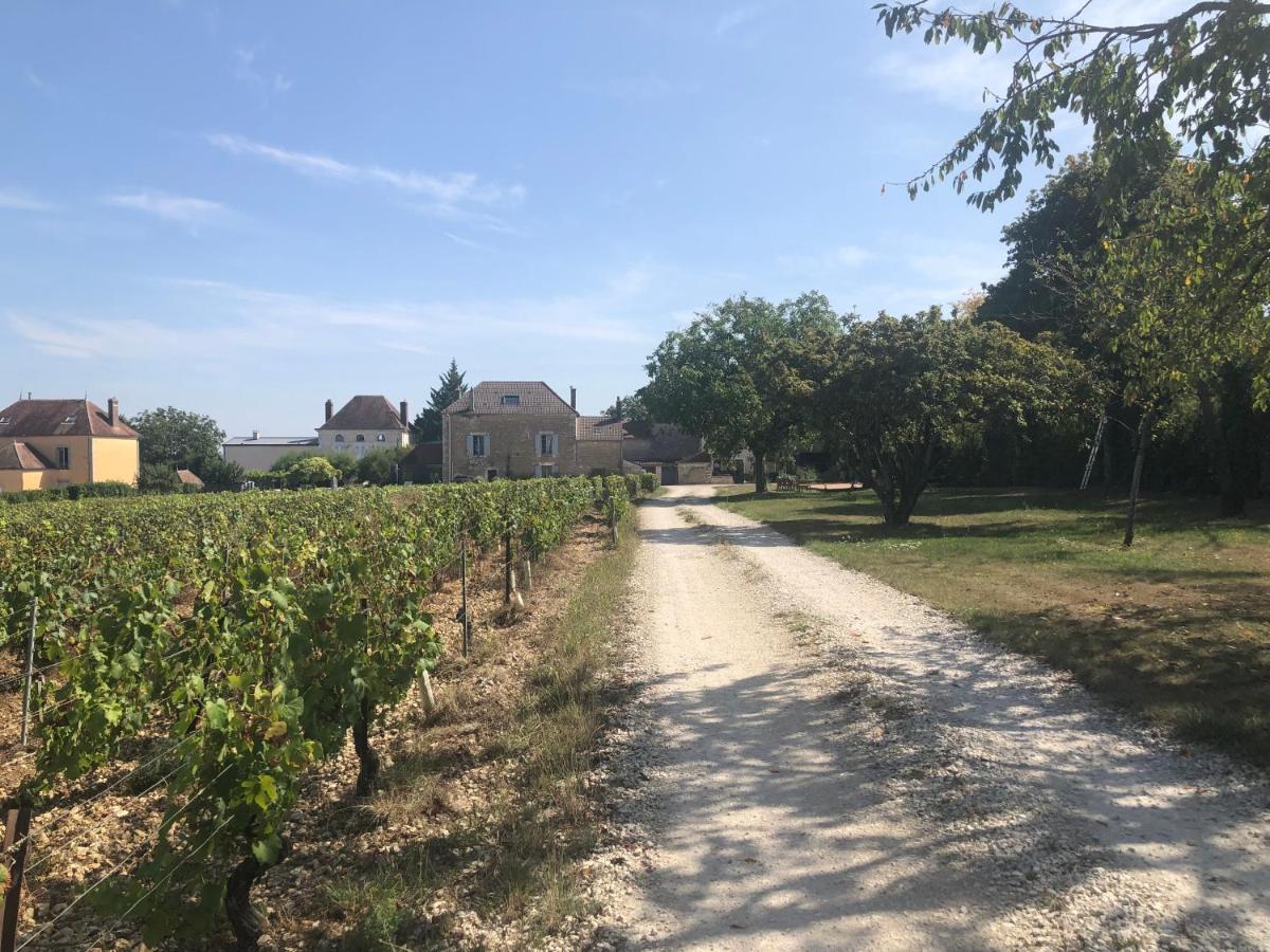 Maison De Pauline, Chablis Vineyard Préhy 外观 照片