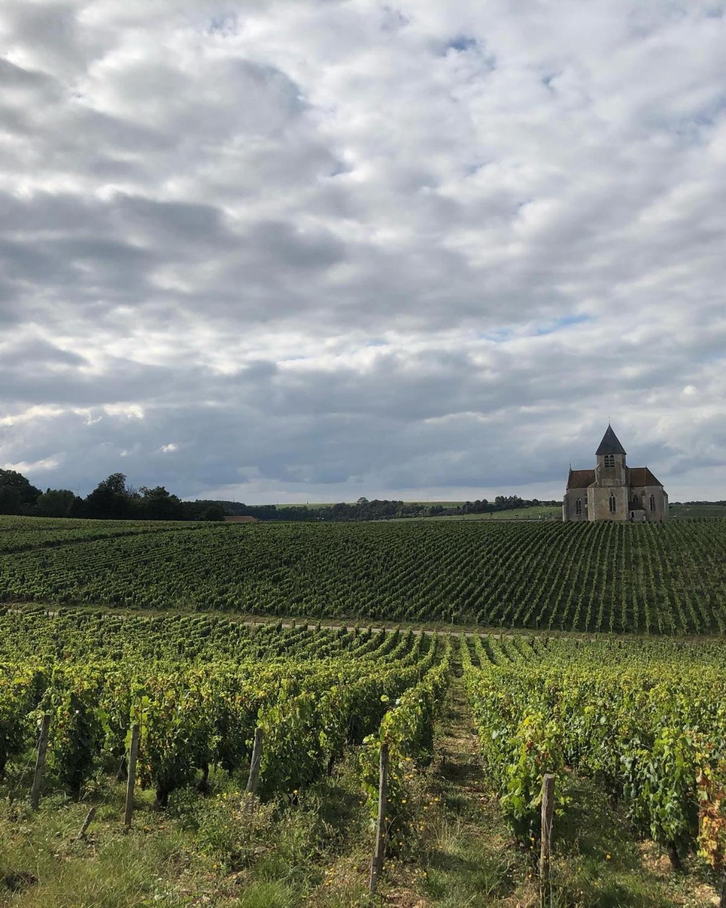 Maison De Pauline, Chablis Vineyard Préhy 客房 照片