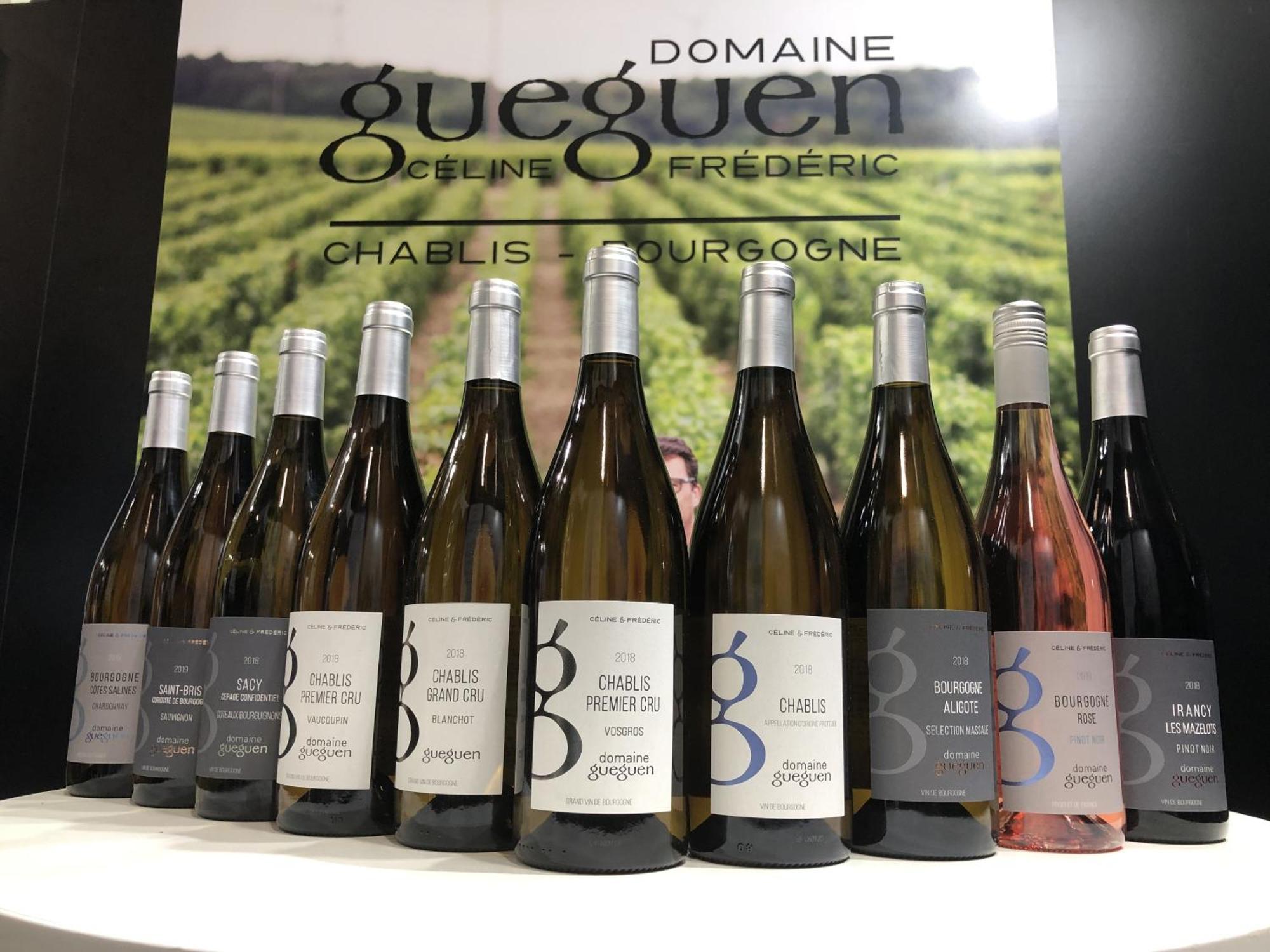 Maison De Pauline, Chablis Vineyard Préhy 外观 照片